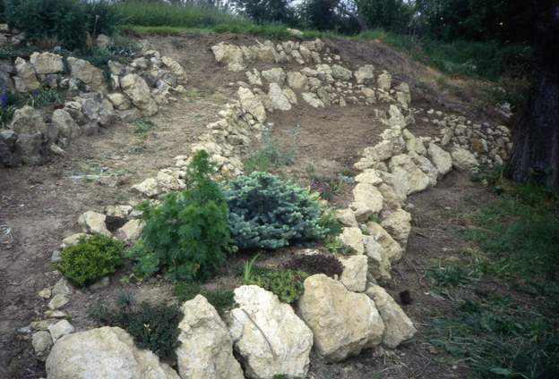 1991 04 Que de terrassement ! Là on attaque la partie la plus à l'est. Enfin la fin de la rocaille ! Au premier plan, Picea punges 'globosa' . Il a du mal, parfois il...