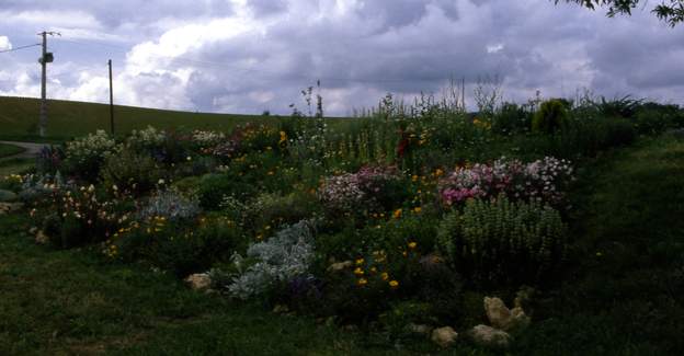 1990 06 Et en plus c'est couvert de fleurs