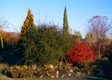 La rocaille centrale C'est par cette partie que nous avons commencé l'aménagement du jardin, parce que c'est ce que l'on voyait depuis nos...