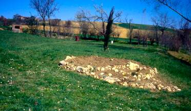 Celle des conifères C'est la partie ouest de la partie est. Ayant brusquement découvert les conifères de collection, on en a planté en...