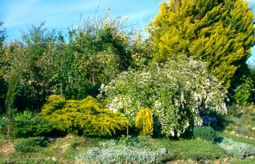 La grande rocaille Elle s'étend de l'ouest à l'est du jardin le long de la cassure est-ouest du terrain. Elle se compose de 6 parties que...