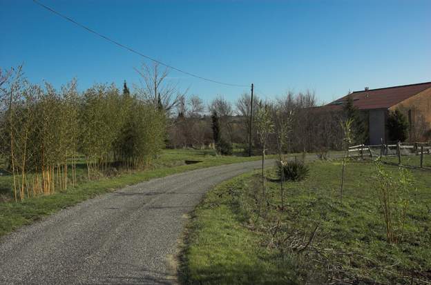 l'entrée en 2010 Voici l'entrée en 2010, avec à droite quelques bambous que nous venons de mettre. S'ils se développent, mettons dans 10 ans, on devrait avoir une haie de...