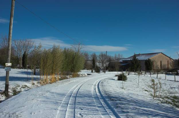 2012 02 Début février, entre -5 et -10 pendant plus d'une semaine. Les bambous ne disent rien.