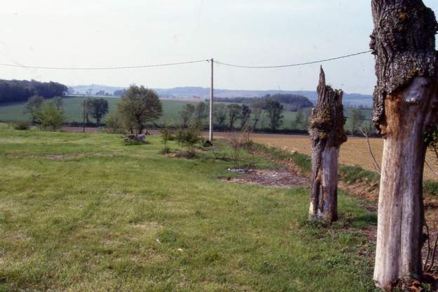 1991 06 Le vent d'autant a abattu les arbres que nous n'avions pas encore coupés, il faut tout brûler sur place, ils sont trop pourris pour avoir une autre utilisation.