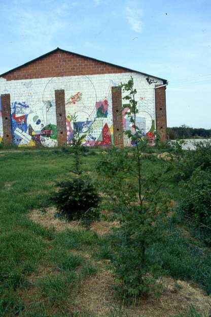 1991 07 Un essai de conifères, ils mourront tous, l'eau ne reste pas assez en été. Au fond le mur est peint par mon frère, les couleurs vont peu à peu passer, c'est...