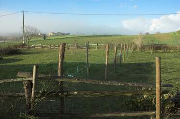 Le pré allemand Fin 2009, nous commençons une nouvelle zone, triangulaire à l'entrée du jardin. Comme la ponette est toute seule, on lui...