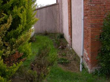 Le mur Nord Ouest de la maison Au début il y avait une cuve à gaz, et du remblais. On a protégé la cuve de la vue par une série de conifères, et dans...