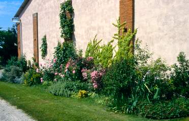 le Mur Ouest Un mur aveugle encore, comme à l'est, mais bien plus haut car c'est la grange de la ferme. Une fois crépi, il se...