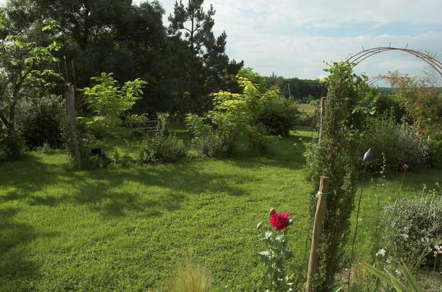 2008 05 Les dernières haies en date sont protégées par un micro climat, elles poussent beaucoup plus vite que celles qu'on a plantées il y a 10 ans, la différence est...