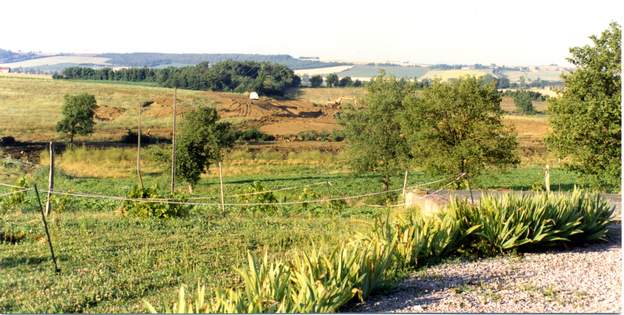 1994 06 Les travaux commencent. Les arbres qui grandissent le long du fossé vont tous être abattus par l'agriculteur qui possède les deux champs.