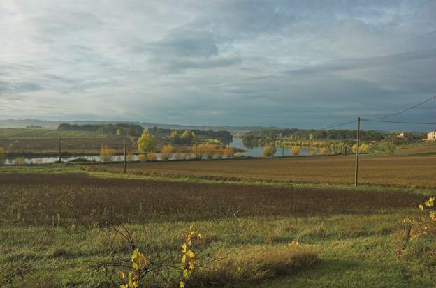 2008 11 Cette année-là, l'automne s'est prolongé fort tard, il a fait un temps pluvieux mais sans gel, alors l'automne est beau.