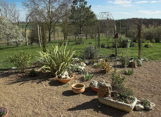 2008 03 on a ajouté des plantes en pots, pour délimiter l'endroit. L'olivier est un cadeau qui a passé deux ans en pot, on va le planter bientôt.