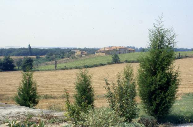 1991 07 La terrasse en béton est tout ce qu'il reste du vieux garage et des abris à poules. On plante 4 cyprès. Le lac n'est pas encore créé.