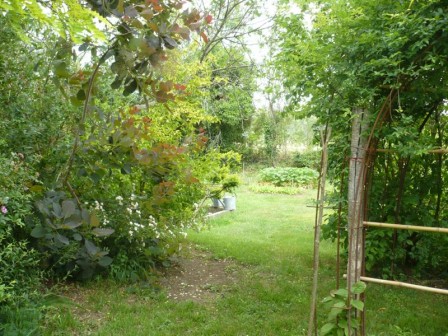 vue_potager.jpg, janv. 2012 vue_potager.jpg