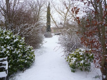 jardin_enneige.jpg
