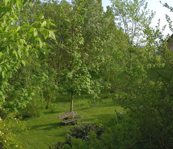 photo en 2005