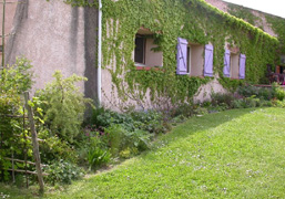 2006