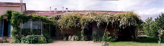 2004
