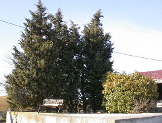 terrasse sud