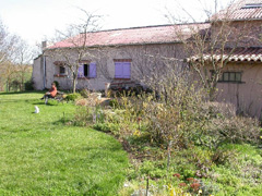 2005