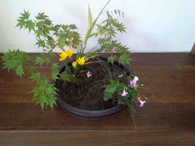 l'art floral japonais : LE site ikebana