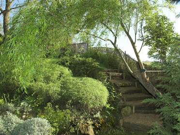 Taille des arbres et arbustes : Topiaire