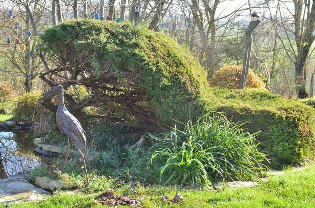 Juniperus chinensis 'Pfitzeriana Aurea' B 2018 12 Les branches constituant la machoire sont peu à peu devenues très moches, en 2017 je les ai donc supprimées. La forme dragonesque a donc sauté, pour l'instant...