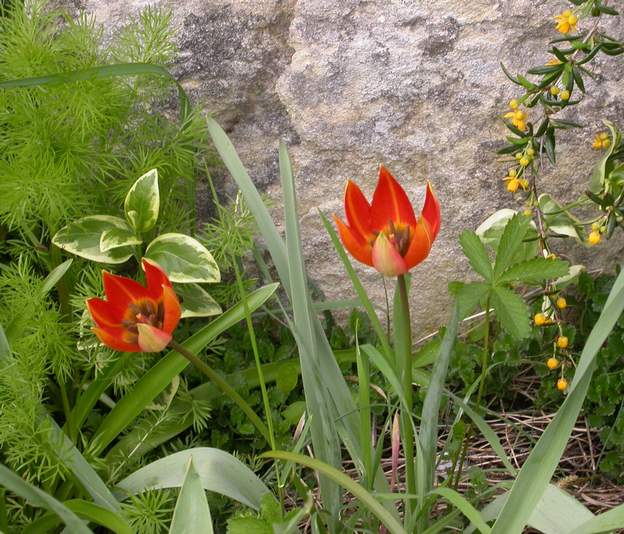 botanique on a oublié son nom. Elle est très mignone, ce qui ne suffit pas à trouver qui c'est !