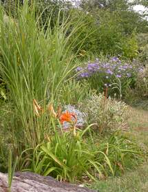 le début de l'été (juillet) Quand il y a assez d'eau pour que les fleurs n'avortent pas.