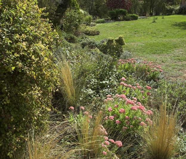 Rocaille Sedum et Stipa tenuifolia