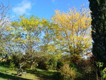 automne