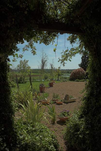 jardin de cailloux 2008 vu de la maison, sous la pergola des rosiers qui nous abrite du soleil le jardin sec sur cailloux fait un effet de contraste particulièrement agréable. Les...