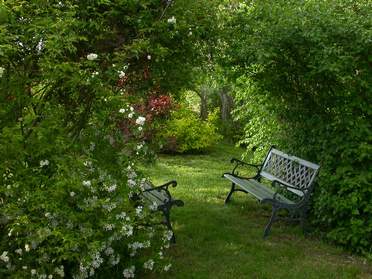 Promenades dans le jardin