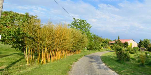 Vue de l'entrée du jardin mai 2016 Vue de l'entrée du jardin mai 2016