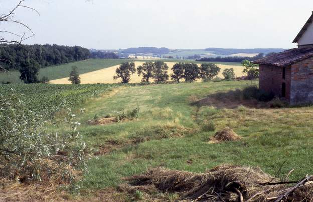 1986 07 La situation de départ. On a passé la grosse débroussailleuse et c'est tout. A droite, on voit la porcherie qui va disparaître. Les arbres au fond ne font pas...