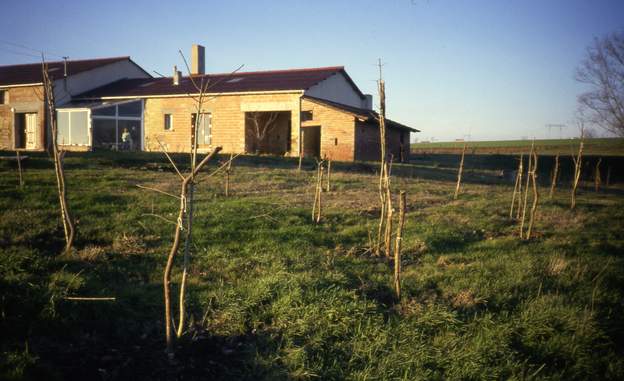 1987 01 Les premiers arbres. Beaucoup sont de la récupération de pousses de frênes qui viennent de la friche voisine. Le terrain est très mauvais, 20 ans après ce...