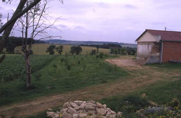 1990 06 La porcherie est abattue, les tas de gravas vont servir au renforcement du barrage de part et d'autre du grand saule