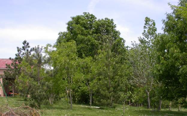 2006 05 Vue du Sud.