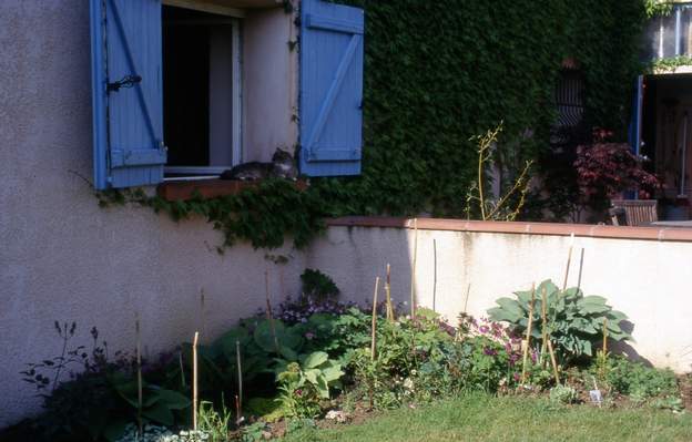 2002 05 Cette année, la vigne commence à recouvrir les bords de la fenêtre de la chambre.