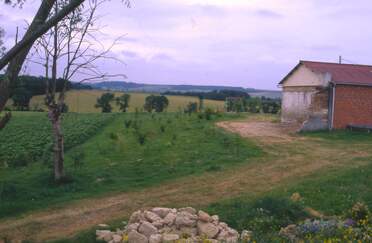 Bois Pour protéger la maison de l'Autan, à l'est, un petit bois, entièrement planté par nous. La terre étant très mauvaise...