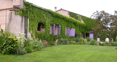 Mur Nord-Est C'est la plate-bande lorraine, qui ne contenait au départ que des plantes de cette région, plante qui ont besoin d'ombre...