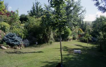 Le Vallon C'est une petite zone calme, tout au sud de la source et de la rocaille, protégée du vent par des arbres à l'est et des...