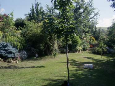 Le Vallon