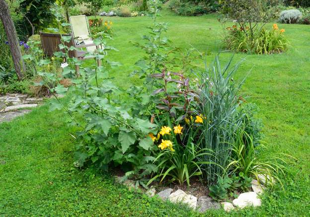 2014 07 Le massif est déjà plein avec toute la pluie de juillet. Il va falloir aviser ...