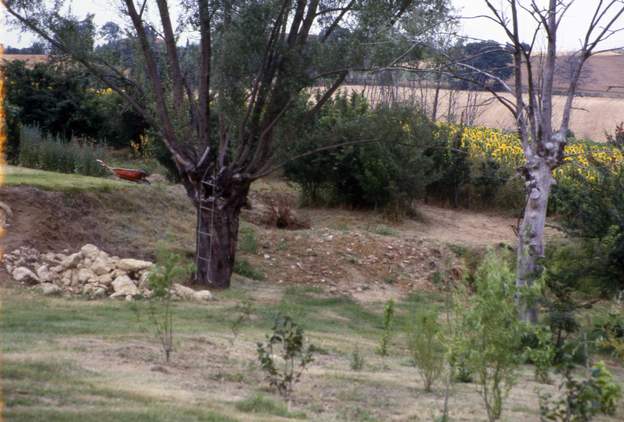 1990 10 Le fossé qui coupe le décrochage est/ouest est comblé par un barrage de gravats que l'on voit à droite du saule. Un tas de pierres est prêt pour la future...