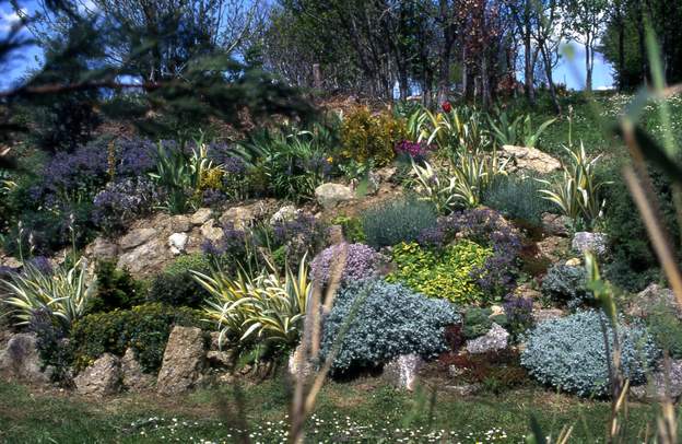 1996 06 C'est la partie qui va rester le plus en rocaille classique. Les iris pallida variegata ont un feuillage particulièrement remarquable. A gauche deux petits...