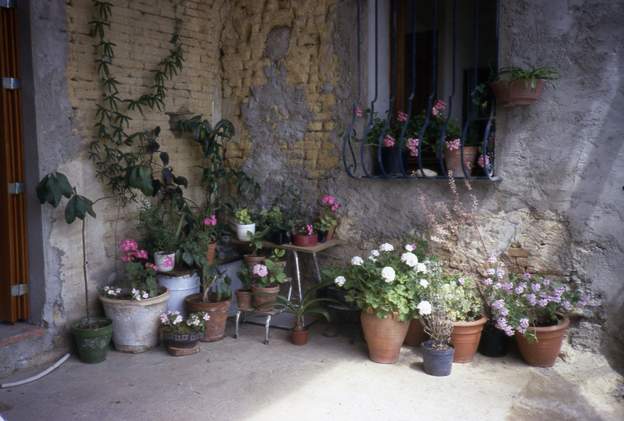 1987 07 Mur en briques de terre crue comme partout dans le coin. Comme il est très abîmé, je le recouvre d'une couche de ciment. Là c'est notre collection de...